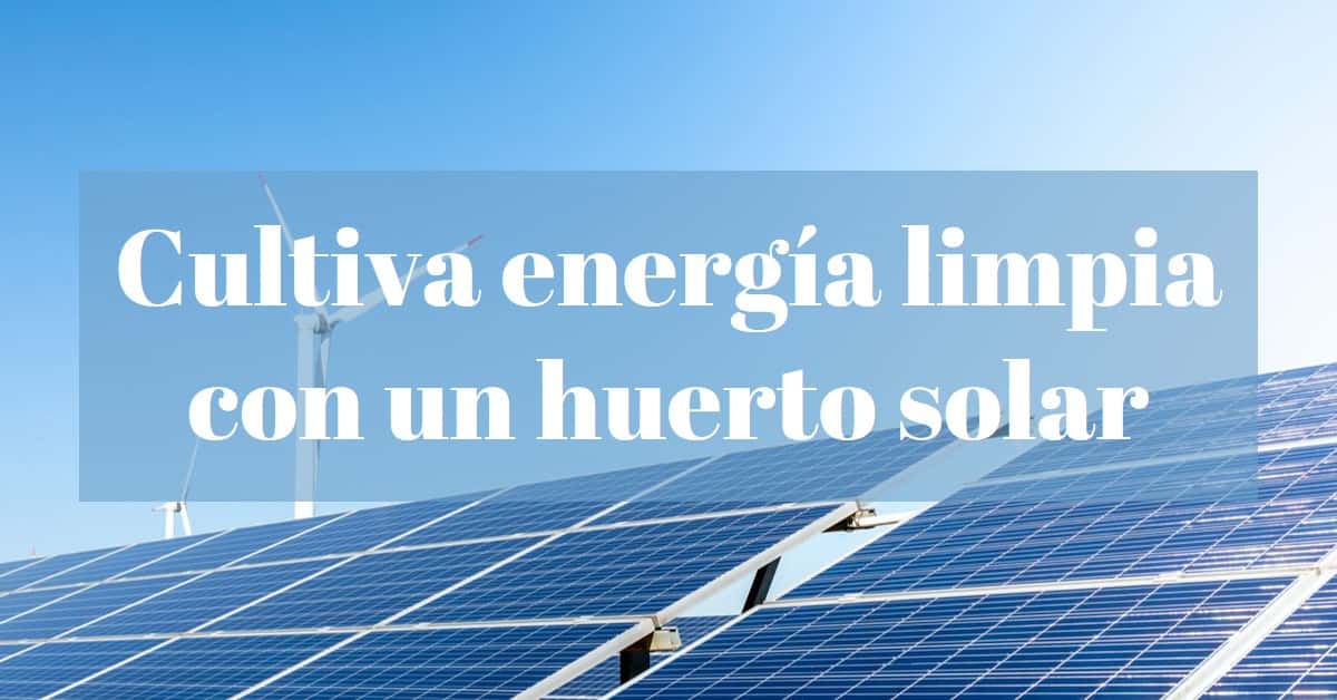 Guía completa para la instalación de un huerto solar