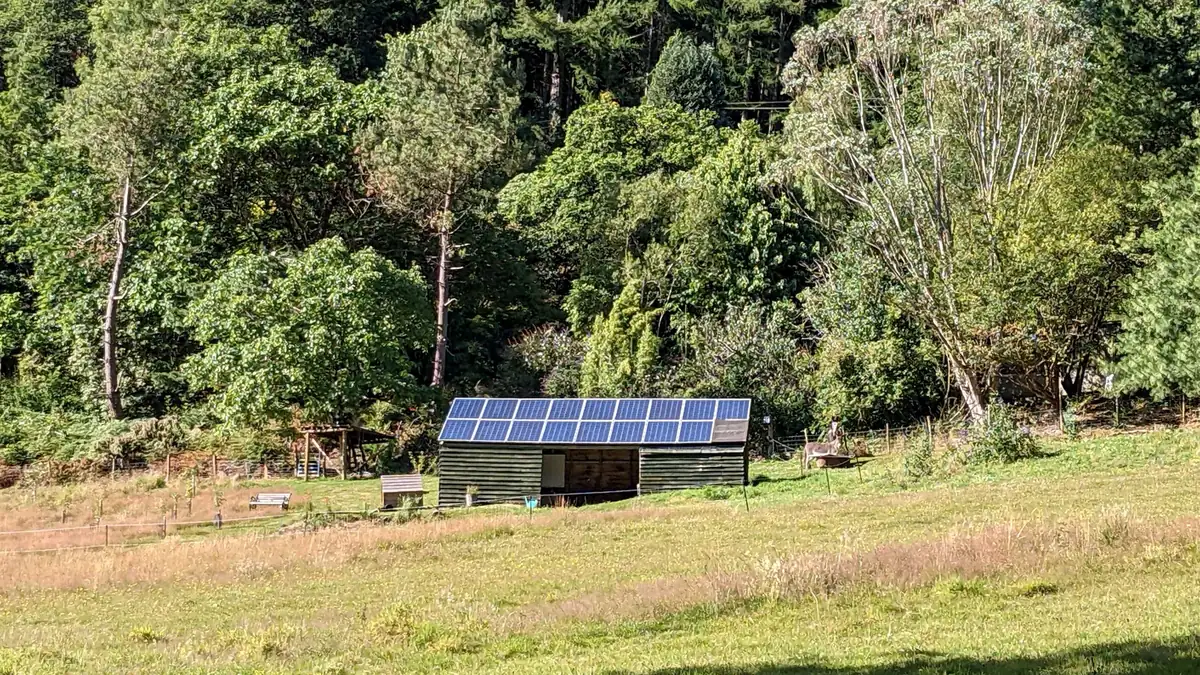 Caseta de madera con paneles solares en el tejado, en un prado junto a un bosque
